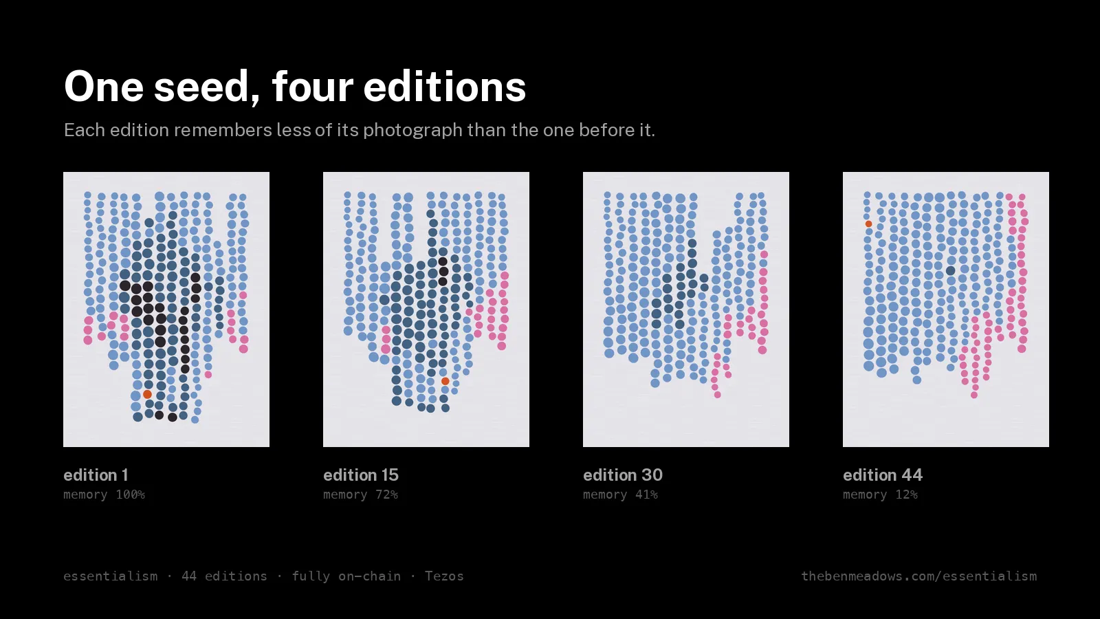 The same seed at editions 1, 15, 30 and 44, its photograph fading from 100% memory to 12%.