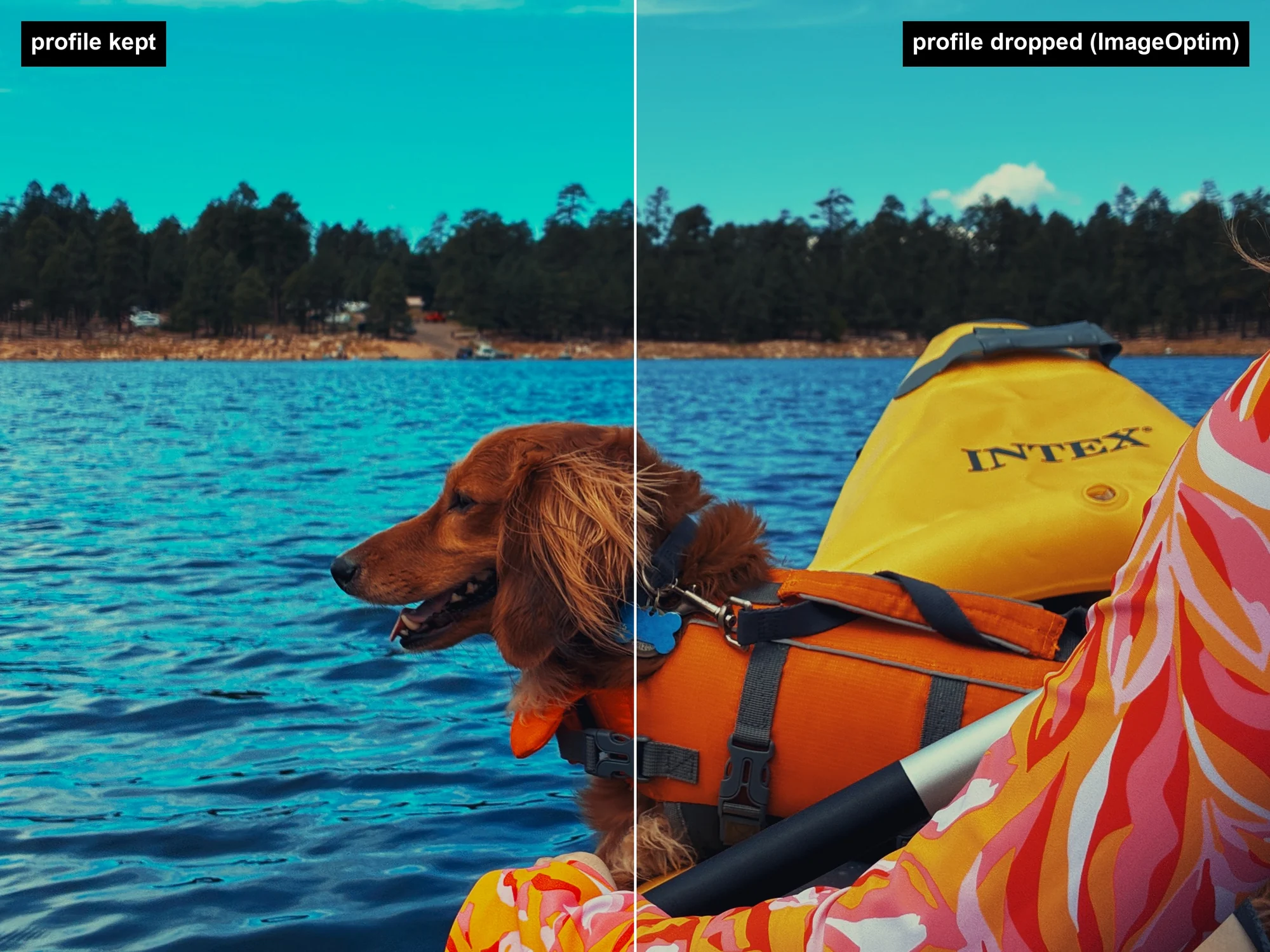 One photo split down the middle. Left: ICC color profile kept. Right: profile dropped.